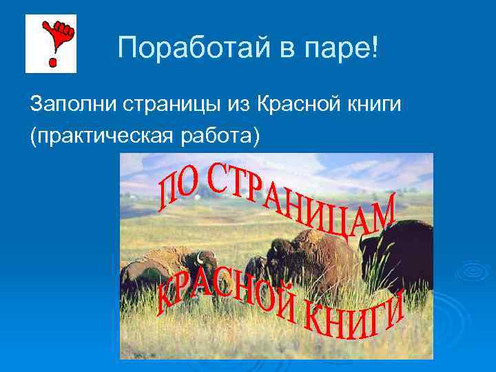 Поработай в паре! Заполни страницы из Красной книги (практическая работа) Поработай в паре! Заполни страницы из Красной книги (практическая работа)