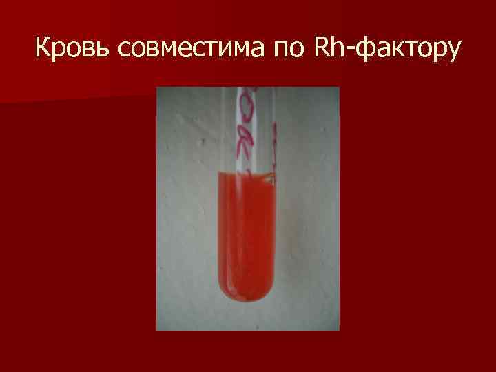 Кровь совместима по Rh фактору 