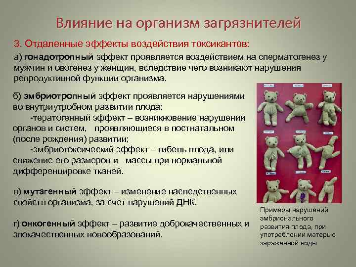    Влияние на организм загрязнителей 3. Отдаленные эффекты воздействия токсикантов: а) гонадотропный