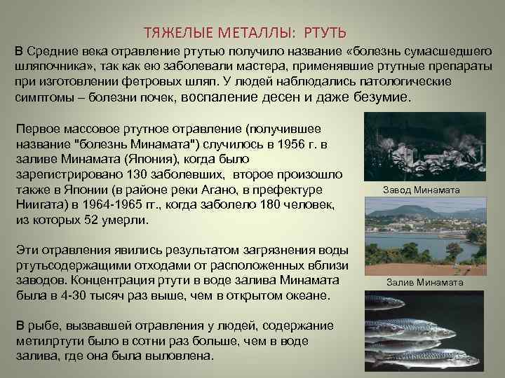     ТЯЖЕЛЫЕ МЕТАЛЛЫ:  РТУТЬ В Средние века отравление ртутью получило