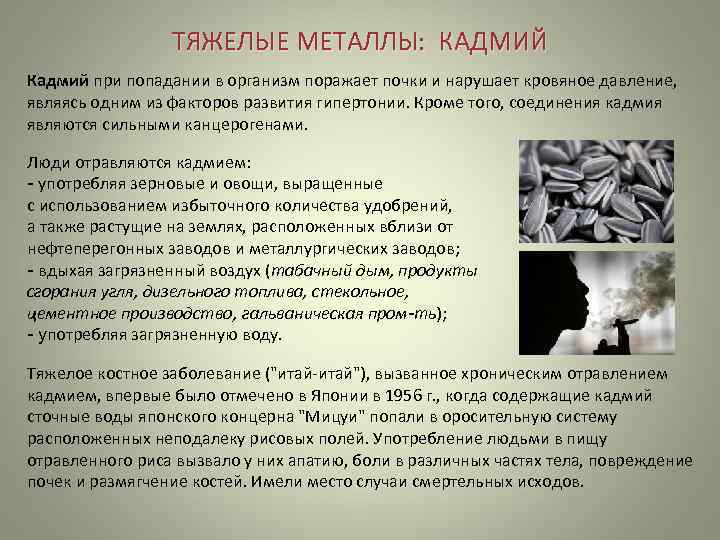    ТЯЖЕЛЫЕ МЕТАЛЛЫ:  КАДМИЙ Кадмий при попадании в организм поражает почки