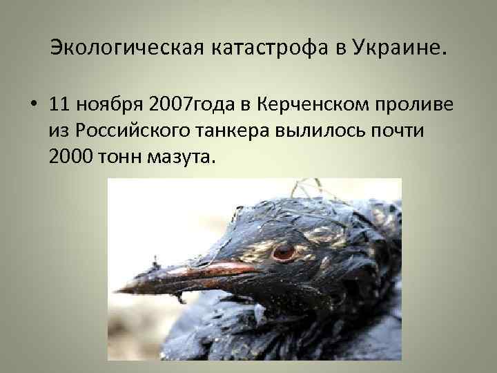  Экологическая катастрофа в Украине.  • 11 ноября 2007 года в Керченском проливе