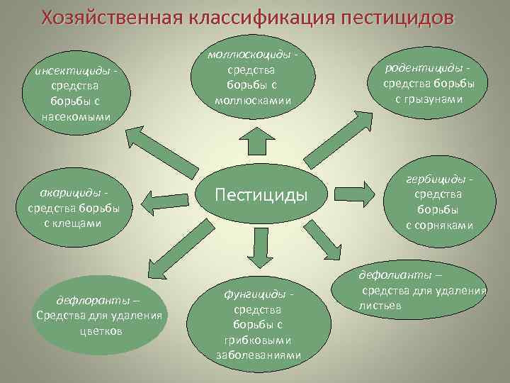  Хозяйственная классификация пестицидов     моллюскоциды - инсектициды -  