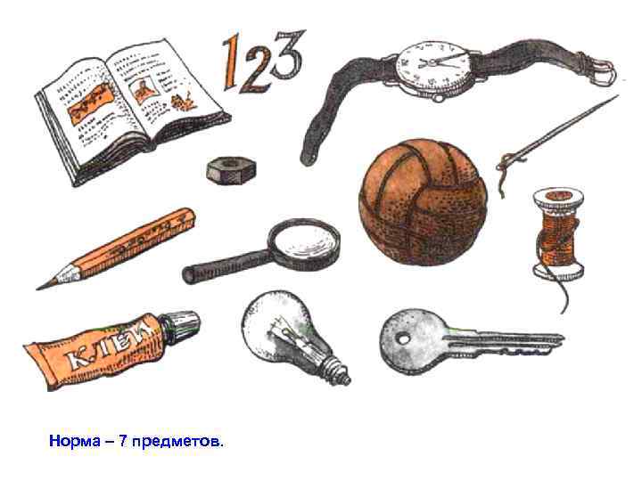 Норма – 7 предметов. 