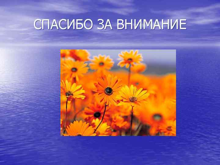 СПАСИБО ЗА ВНИМАНИЕ 