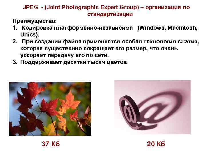   JPEG - (Joint Photographic Expert Group) – организация по   