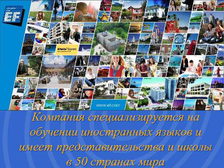  Компания специализируется на  обучении иностранных языков и имеет представительства и школы 