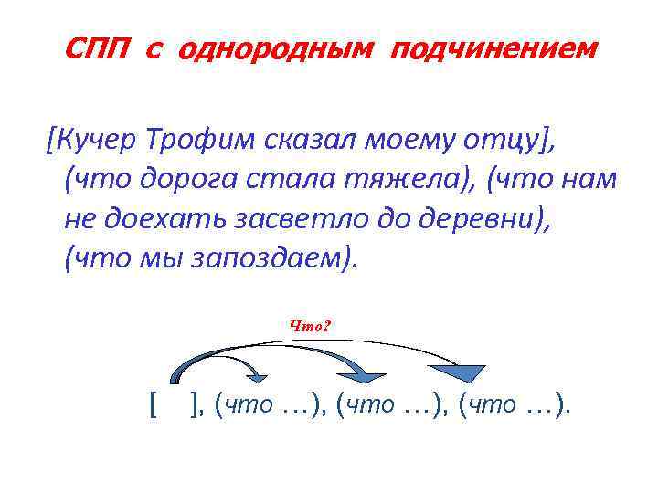 Предложение 1 с однородным подчинением