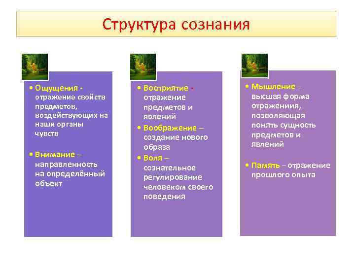     Структура сознания  • Ощущения -   • Восприятие