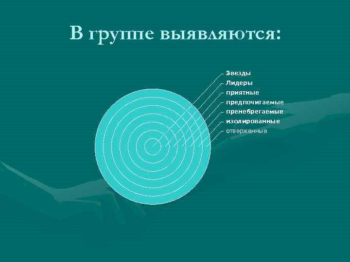 В группе выявляются:    Звезды    Лидеры   