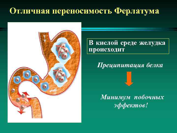 Отличная переносимость Ферлатума В кислой среде желудка происходит Преципитация белка Минимум побочных эффектов! 