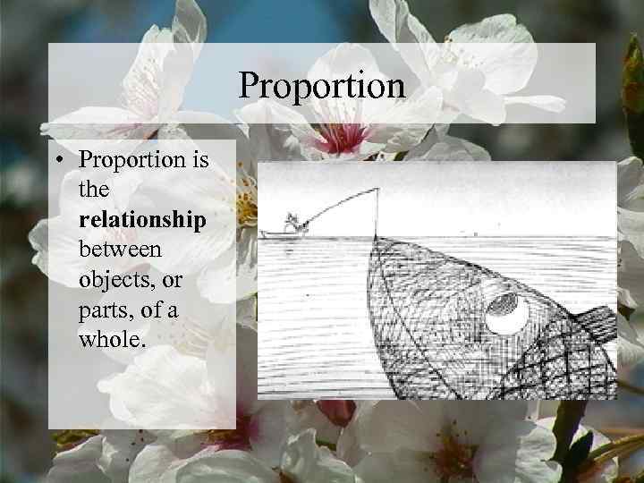    Proportion • Proportion is  the  relationship  between 