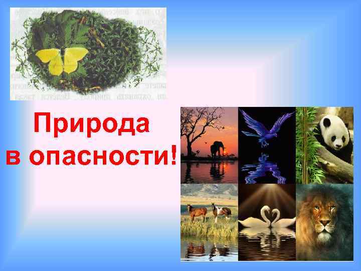  Природа в опасности! 