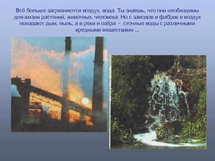  Всё больше загрязняются воздух, вода. Ты знаешь, что они необходимы для жизни растений,