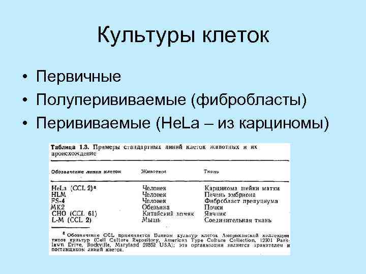   Культуры клеток • Первичные • Полуперививаемые (фибробласты) • Перививаемые (He. La –