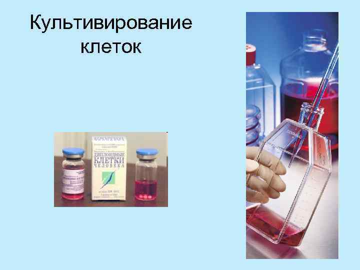 Культивирование клеток 