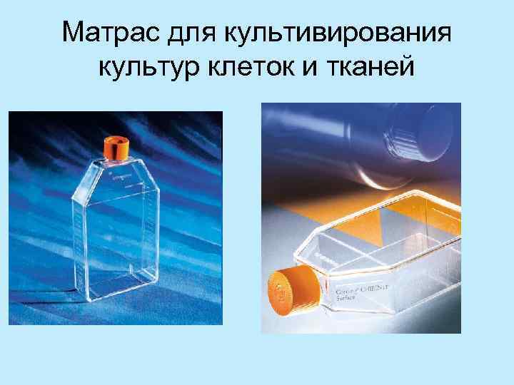Матрас для культивирования  культур клеток и тканей 