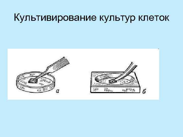Культивирование культур клеток 