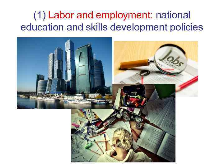  (1) Labor and employment: national education and skills development policies 