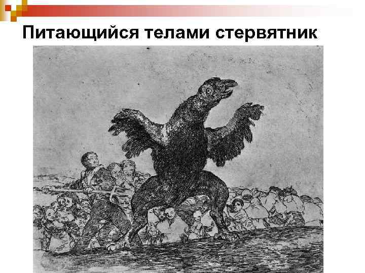 Питающийся телами стервятник 