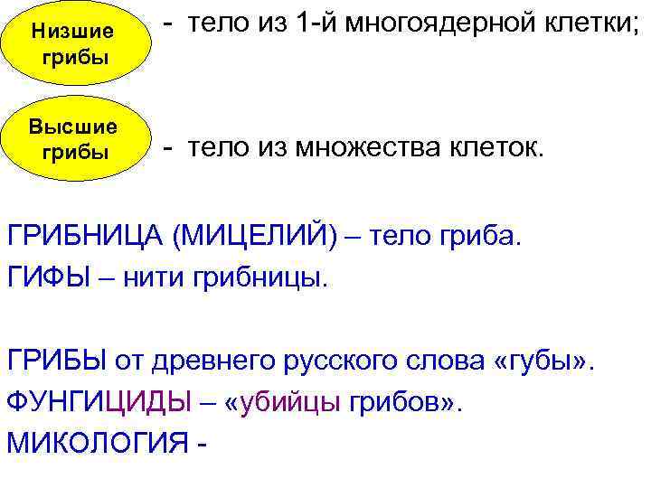  Низшие  - тело из 1 -й многоядерной клетки;  грибы  Высшие