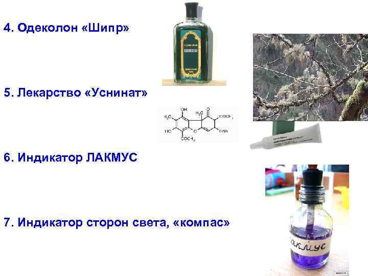 4. Одеколон «Шипр» 5. Лекарство «Уснинат» 6. Индикатор ЛАКМУС 7. Индикатор сторон света, 