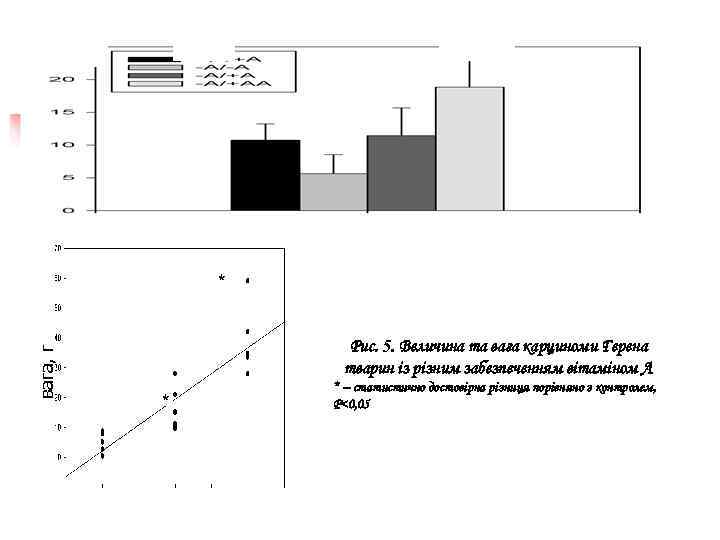  -А/-А  -А/+А     -А/+АА    