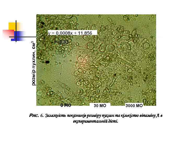      y = 0. 0008 x + 11. 856 