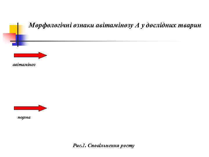   Морфологічні ознаки авітамінозу А у дослідних тварин авітаміноз  норма  