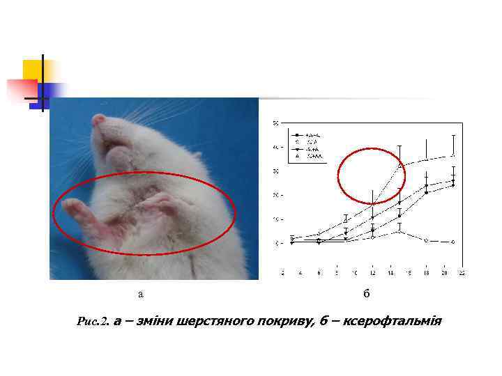    а      б Рис. 2. а –