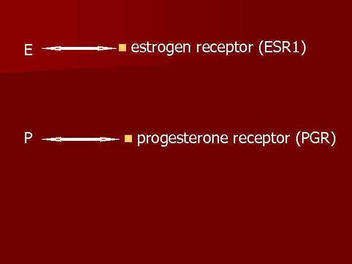 Е  n estrogen receptor (ESR 1) Р  n progesterone receptor (PGR) 