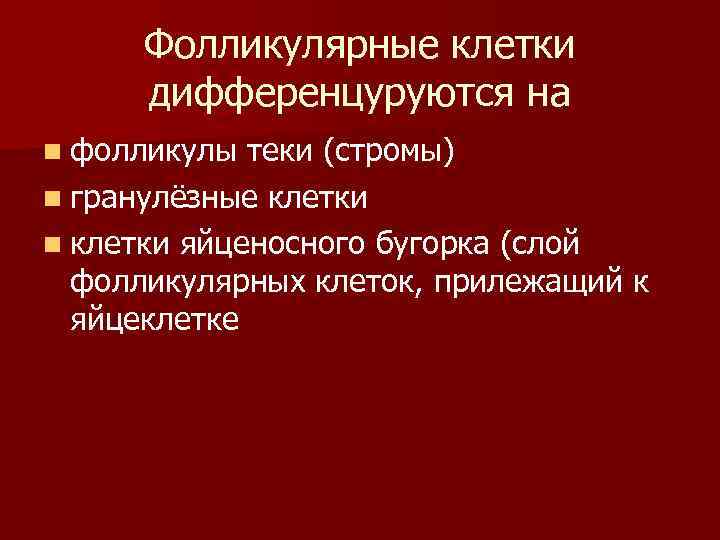  Фолликулярные клетки  дифференцуруются на n фолликулы теки (стромы) n гранулёзные клетки n