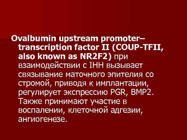 Оvalbumin upstream promoter– transcription factor II (COUP-TFII,  also known as NR 2 F