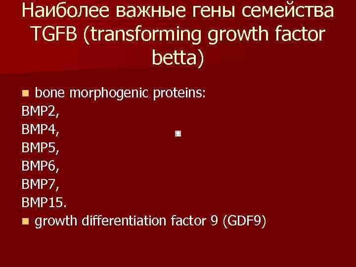 Наиболее важные гены семейства  TGFB (transforming growth factor    betta) n