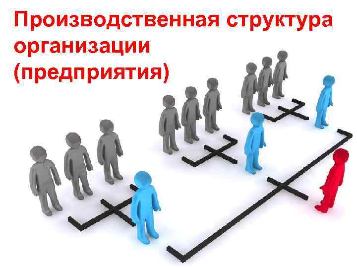 Производственная структура организации (предприятия) 