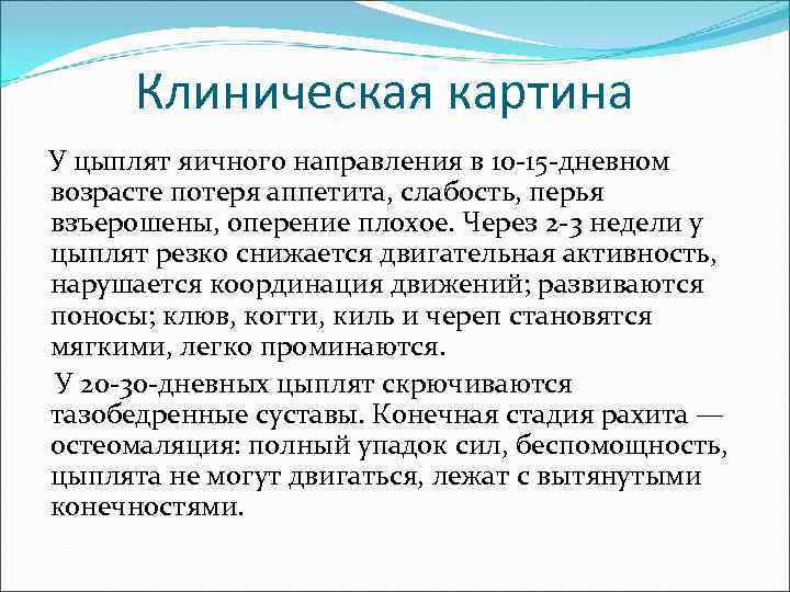  Клиническая картина У цыплят яичного направления в 10 -15 -дневном возрасте потеря аппетита,