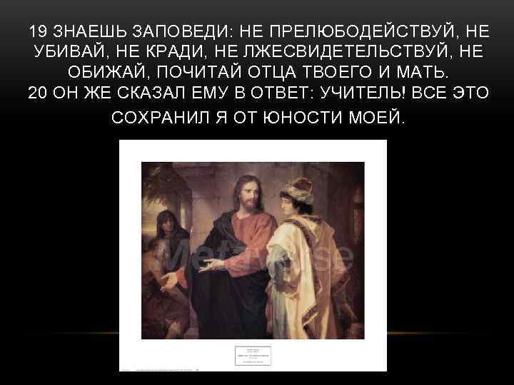 19 ЗНАЕШЬ ЗАПОВЕДИ: НЕ ПРЕЛЮБОДЕЙСТВУЙ, НЕ УБИВАЙ, НЕ КРАДИ, НЕ ЛЖЕСВИДЕТЕЛЬСТВУЙ, НЕ ОБИЖАЙ, ПОЧИТАЙ