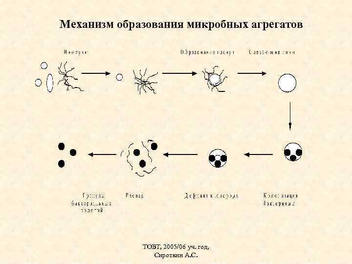 Механизм образования микробных агрегатов ТОБТ, 2005/06 уч. год, Сироткин А. С. 