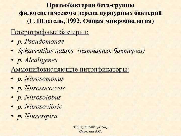 Протеобактерии бета-группы филогенетического дерева пурпурных бактерий (Г. Шлегель, 1992, Общая микробиология) Гетеротрофные бактерии: •