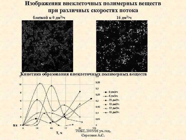 Изображения внеклеточных полимерных веществ при различных скоростях потока близкой к 0 дм 3/ч 16