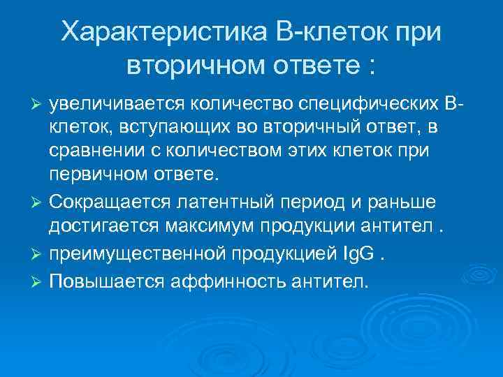 Характеристика В-клеток при вторичном ответе : увеличивается количество специфических Вклеток, вступающих во вторичный ответ,
