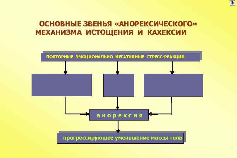 ОСНОВНЫЕ ЗВЕНЬЯ «АНОРЕКСИЧЕСКОГО» МЕХАНИЗМА ИСТОЩЕНИЯ И КАХЕКСИИ ПОВТОРНЫЕ ЭМОЦИОНАЛЬНО НЕГАТИВНЫЕ СТРЕСС-РЕАКЦИИ анорексия прогрессирующее уменьшение