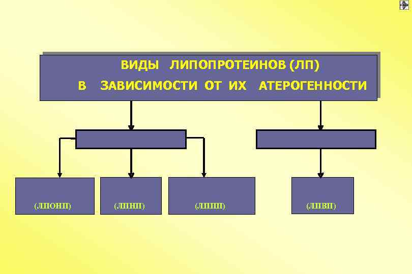 Нарушения липидного обмена презентация