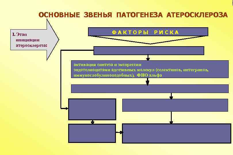 ОСНОВНЫЕ ЗВЕНЬЯ ПАТОГЕНЕЗА АТЕРОСКЛЕРОЗА I. Этап инициации атеросклероза: ФАКТОРЫ РИСКА активация синтеза и экспрессии