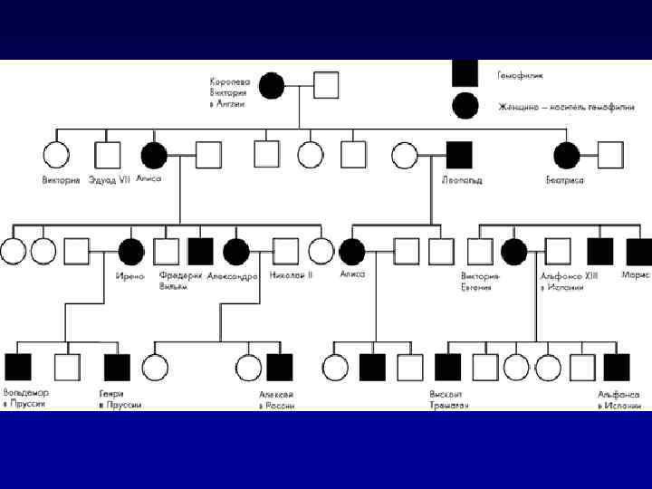 Родословная биология 11 класс. Родословная дерево генетика. Родословная семьи схема генетика. Генетическая родословная семьи пример. Родословная схема по генетике пример.