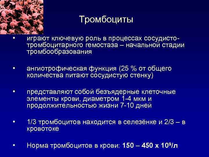 Роль тромбоцитов и сосудистой стенки в обеспечении гемостаза