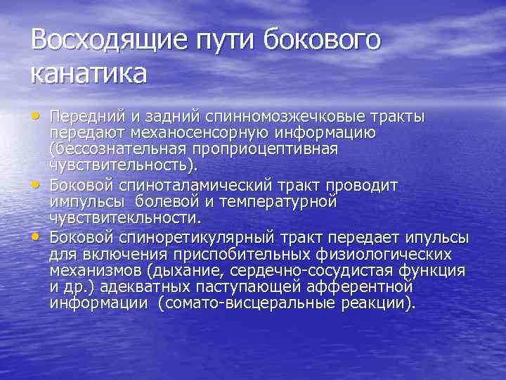 Восходящие пути бокового канатика • Передний и задний спинномозжечковые тракты • • передают механосенсорную