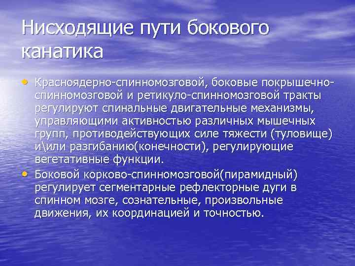 Нисходящие пути бокового канатика • Красноядерно-спинномозговой, боковые покрышечно- • спинномозговой и ретикуло-спинномозговой тракты регулируют