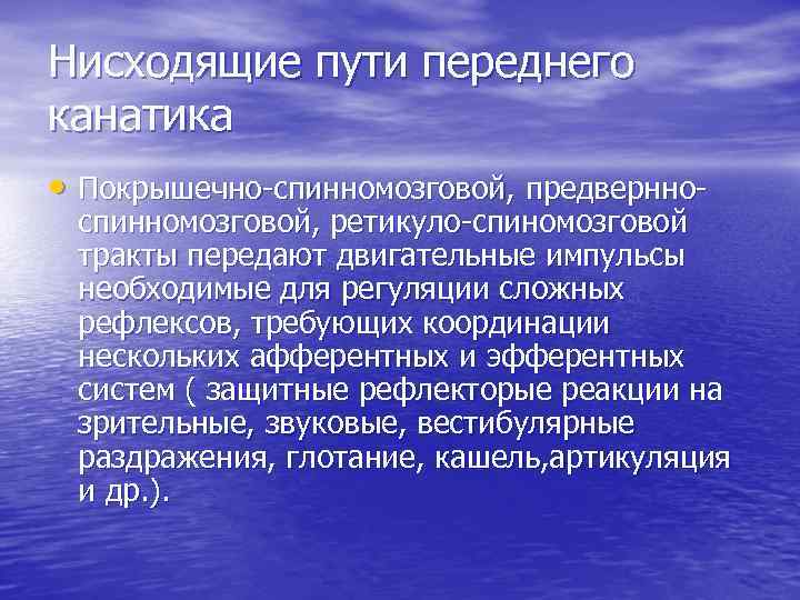 Нисходящие пути переднего канатика • Покрышечно-спинномозговой, предвернно- спинномозговой, ретикуло-спиномозговой тракты передают двигательные импульсы необходимые