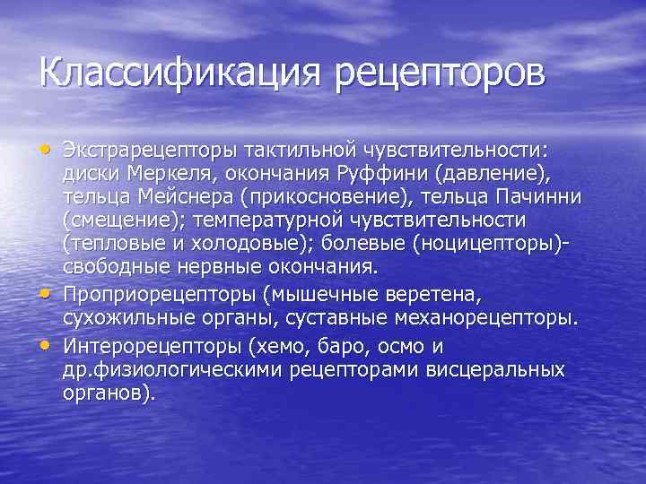 Классификация рецепторов • Экстрарецепторы тактильной чувствительности: • • диски Меркеля, окончания Руффини (давление), тельца